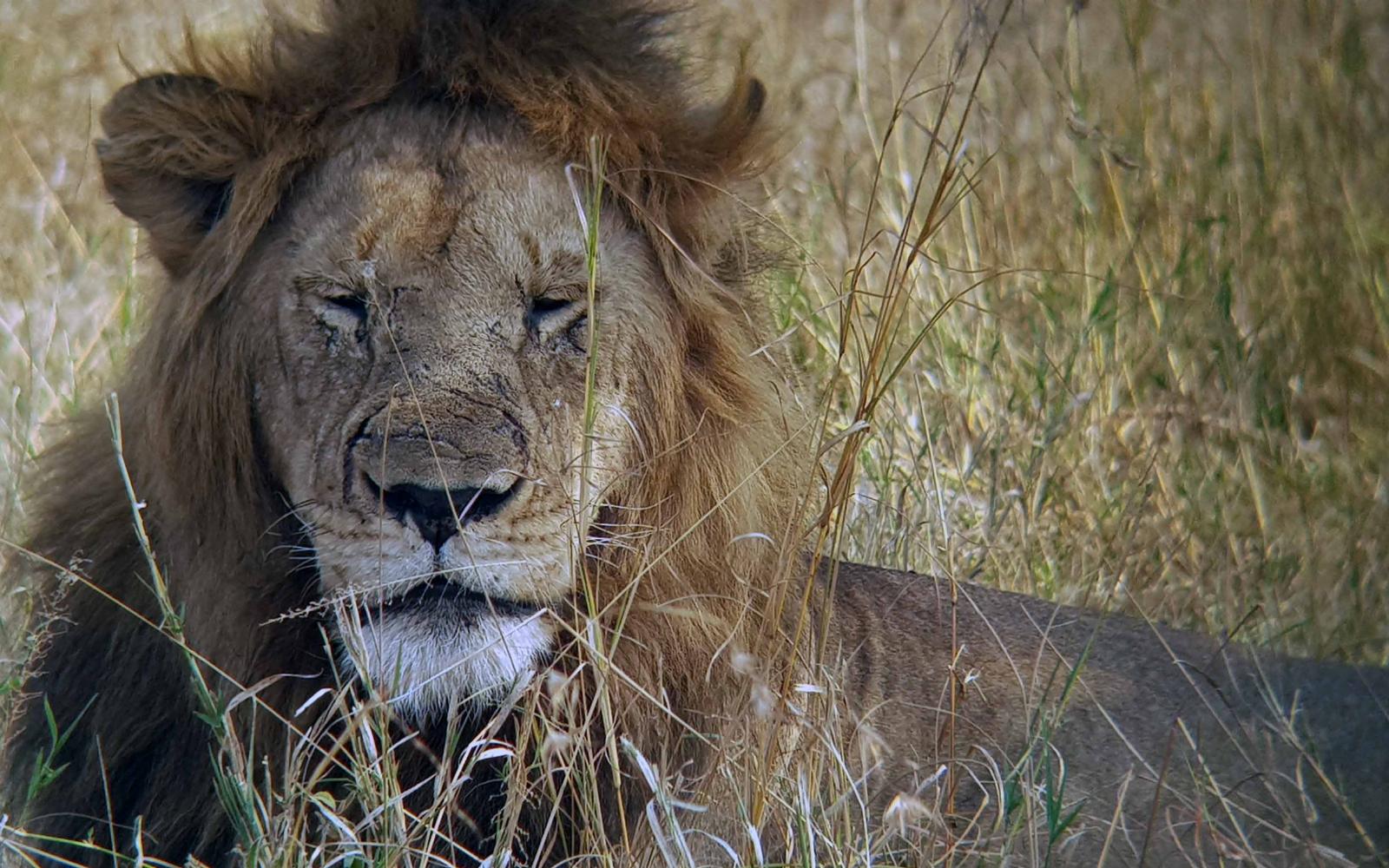 12 Days – The Best of Tanzania